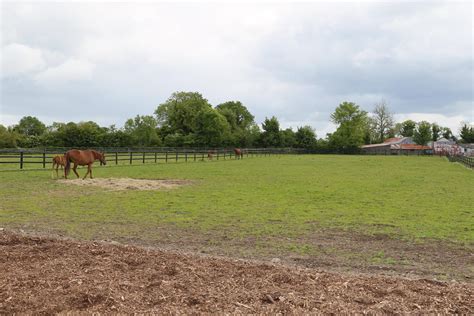 bvueh|bveh stallion station.